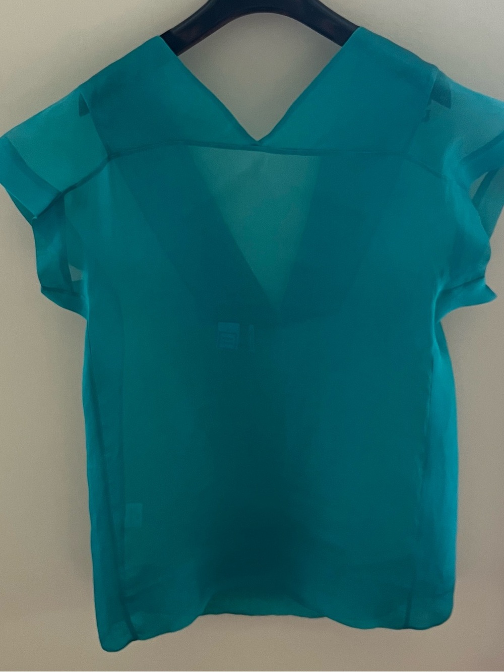 Teal Sheer V-Neck Women's Camisole